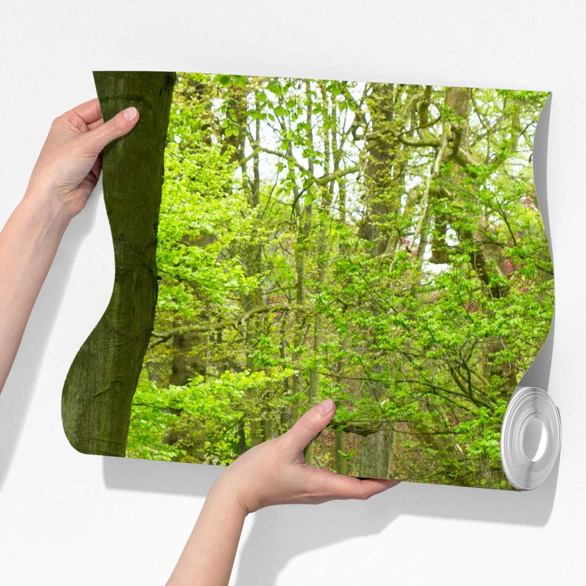 Fototapeta wiosenny ogród tulipanów nad kanałem Fototapeta wiosenny ogród tulipanów nad kanałem