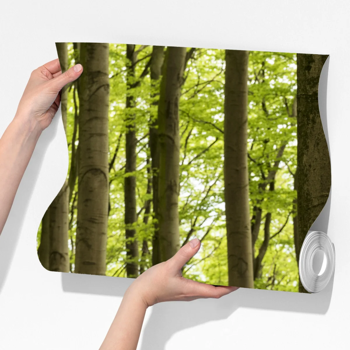 Fototapeta spokojna zielona ścieżka leśna Fototapeta spokojna zielona ścieżka leśna