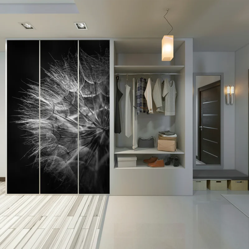 Schrankaufkleber zarter löwenzahn in monochrom Schrankaufkleber zarter löwenzahn in monochrom