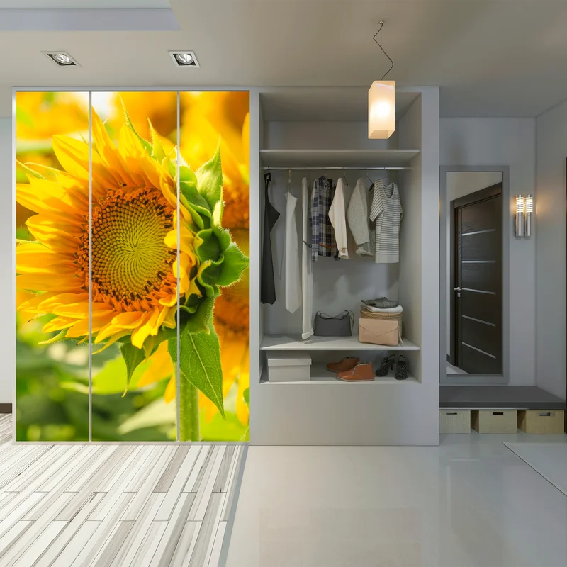 Schrankaufkleber sonnenblume nahaufnahme