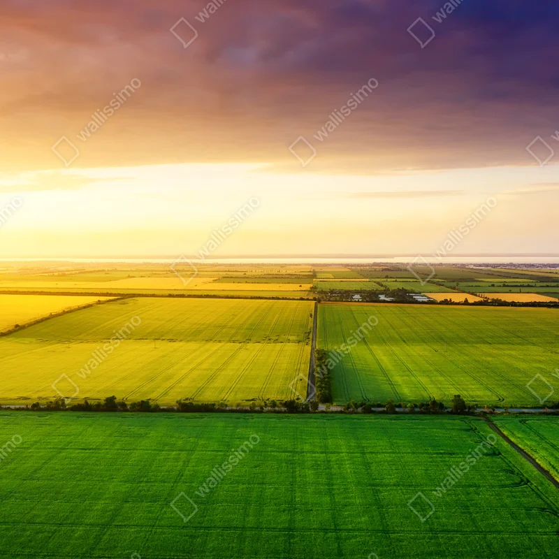 Leinwandbild sonnenuntergang über grünen feldern Leinwandbild sonnenuntergang über grünen feldern