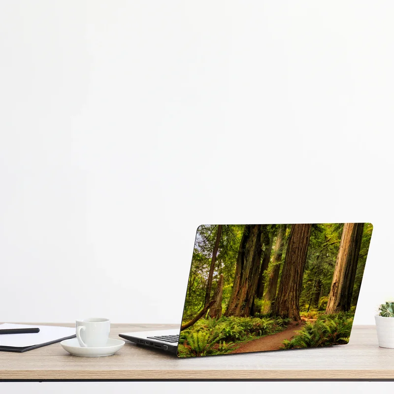 Naklejka na laptopa Kalifornia sekwoje leśna ścieżka