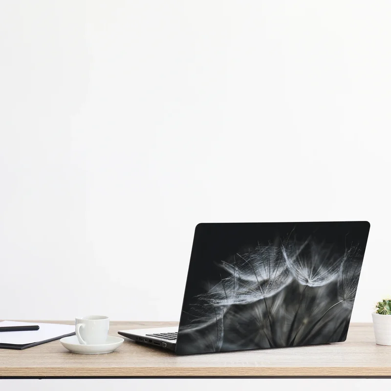Laptop-Aufkleber zarte löwenzahnsamen in monochrom