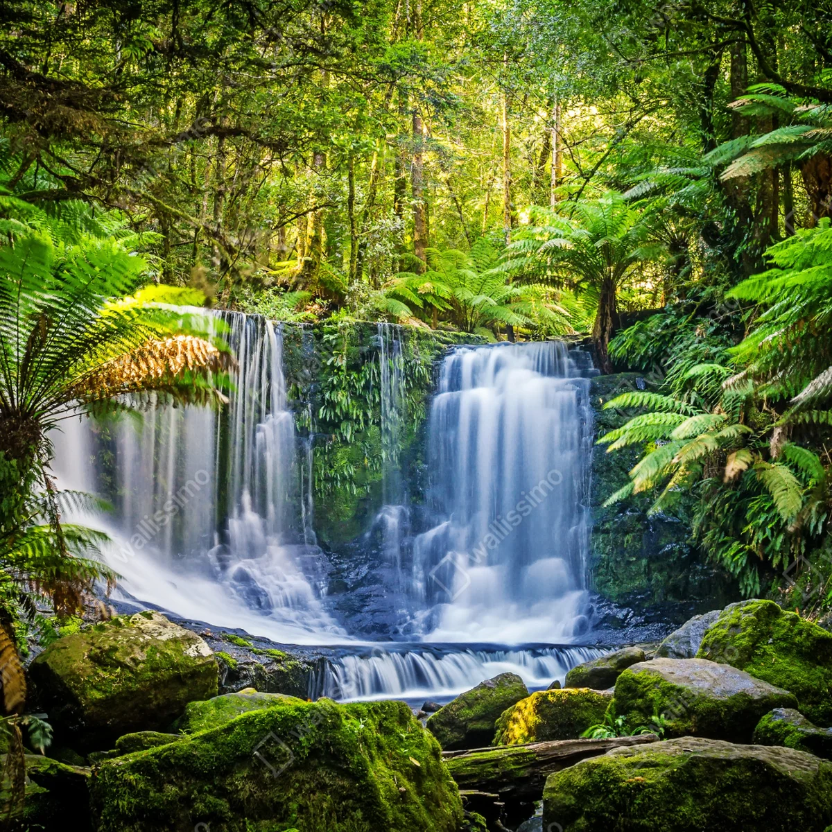 Laptop-Aufkleber üppiger wasserfall im Mt Field National Park, Tasmania Laptop-Aufkleber üppiger wasserfall im Mt Field National Park, Tasmania