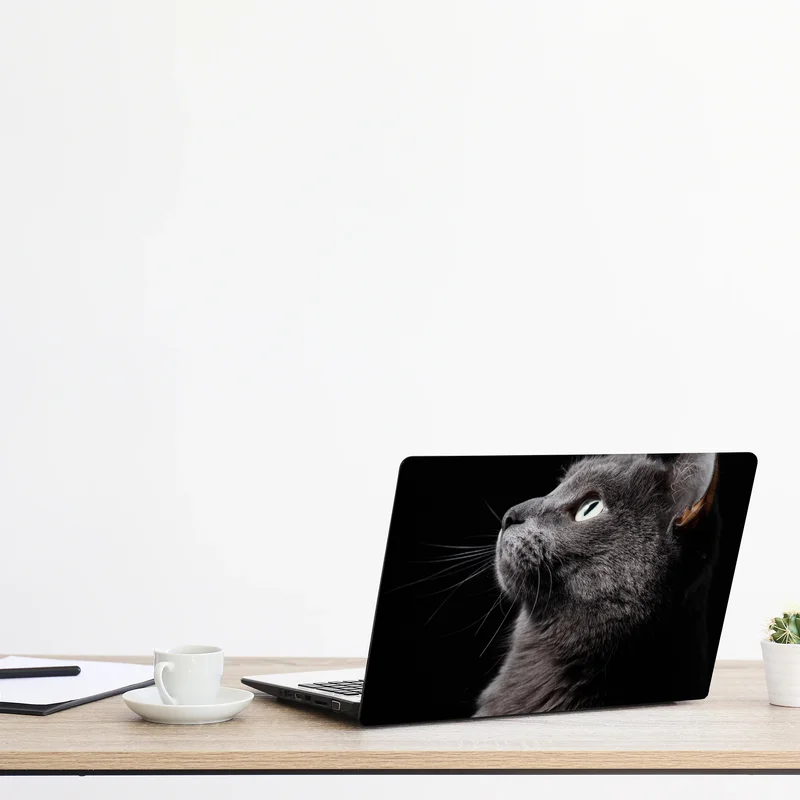 Naklejka na laptopa elegancki portret szarego kota