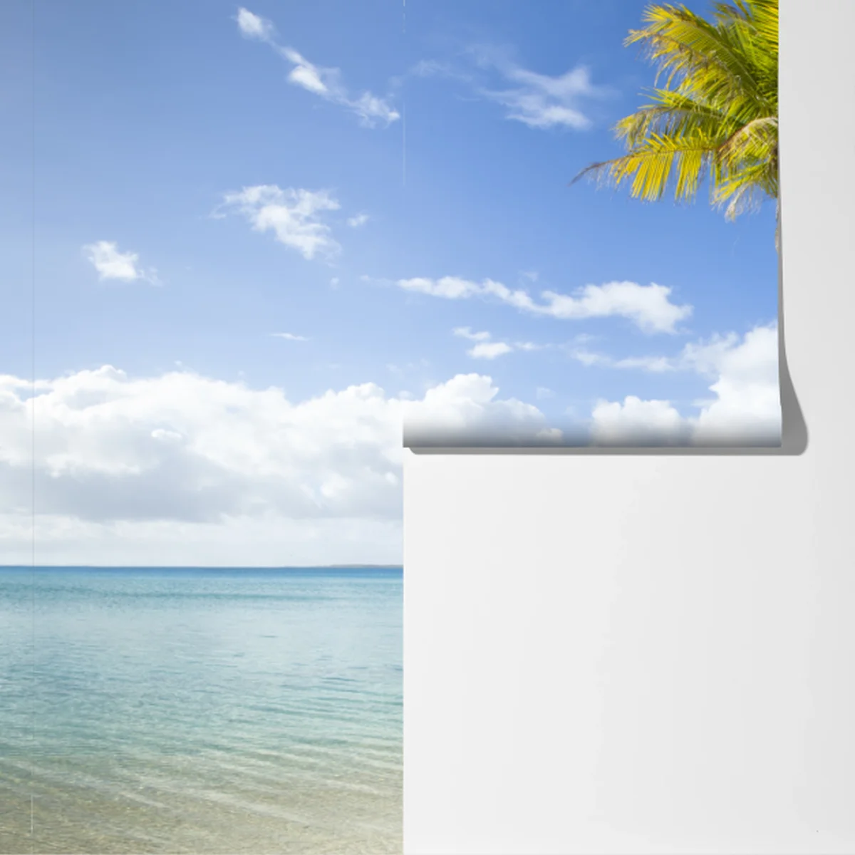 Fototapete tropischer türkisblauer strand mit geneigter palme Fototapete tropischer türkisblauer strand mit geneigter palme