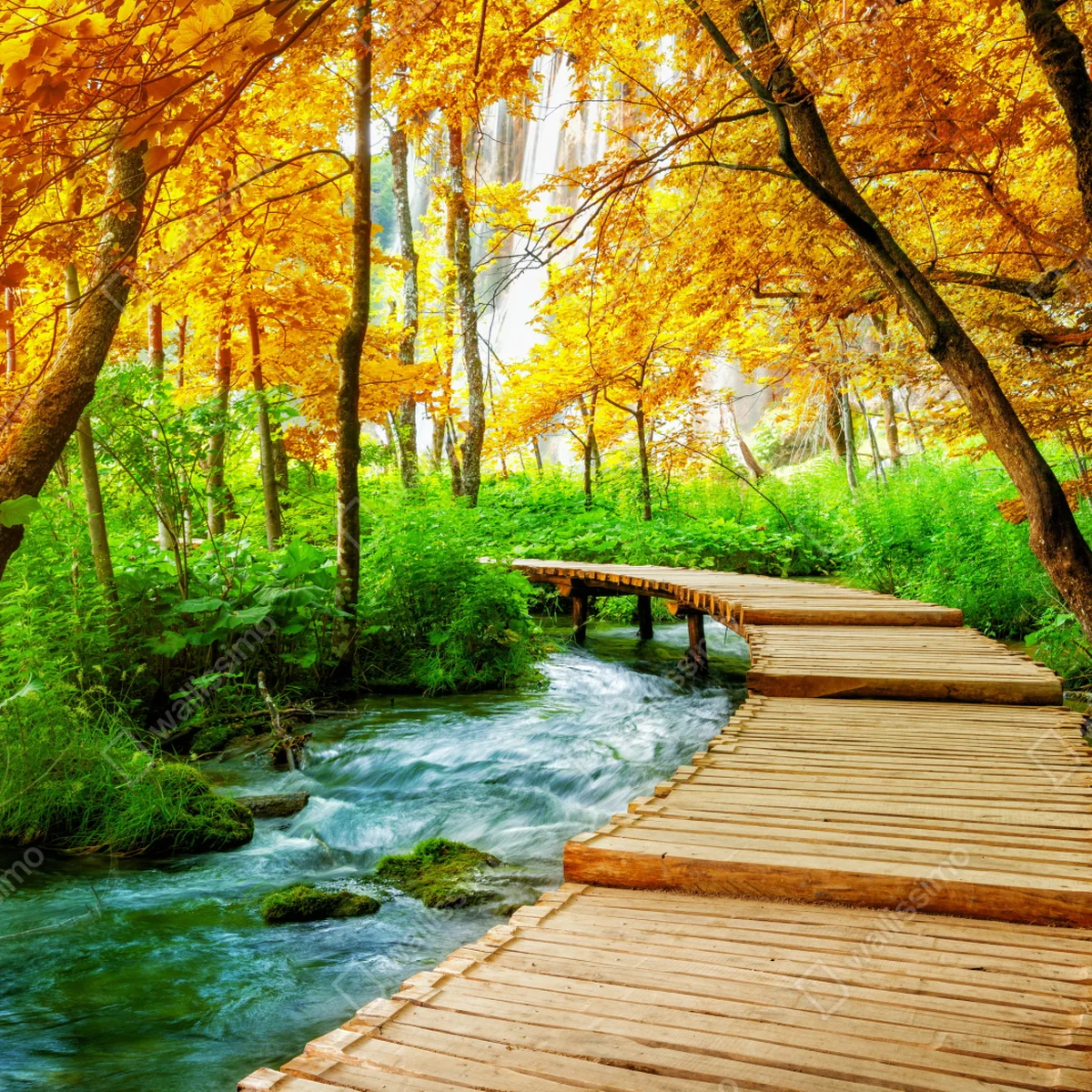 Laptop-Aufkleber goldener steg durch den wald bei Plitvicer Seen Laptop-Aufkleber goldener steg durch den wald bei Plitvicer Seen