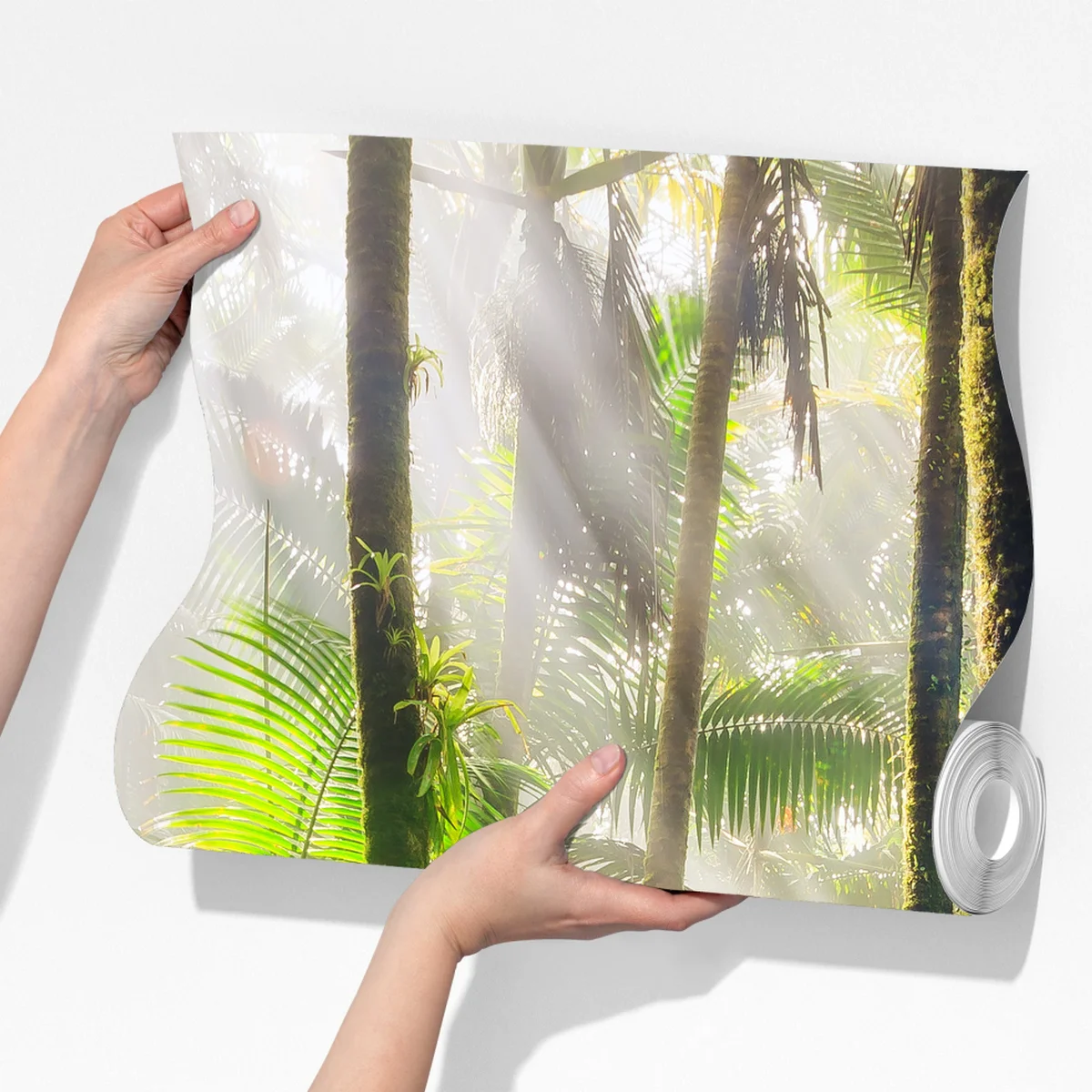 Fototapete tropischer regenwald mit sonnenstrahlen Fototapete tropischer regenwald mit sonnenstrahlen