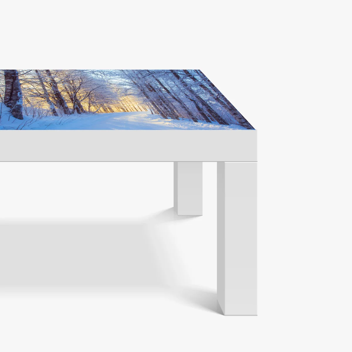 Tischaufkleber und Schreibtischaufkleber birkenwald im winter bei sonnenaufgang Tischaufkleber und Schreibtischaufkleber birkenwald im winter bei sonnenaufgang