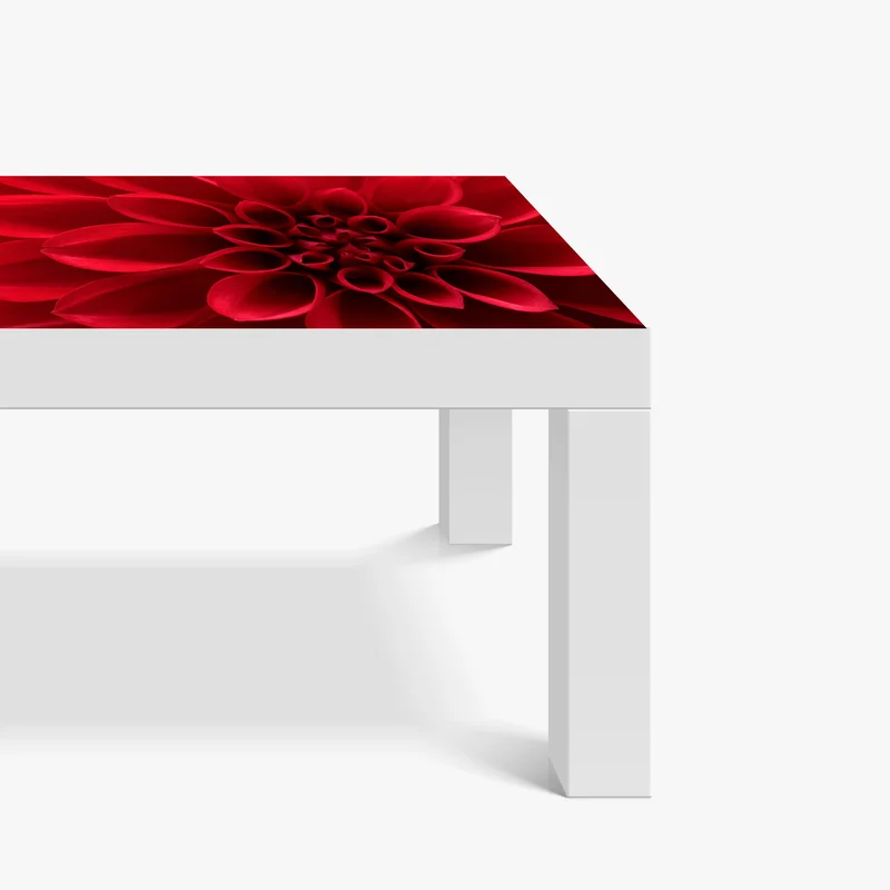 Tischaufkleber und Schreibtischaufkleber nahaufnahme einer roten dahlie