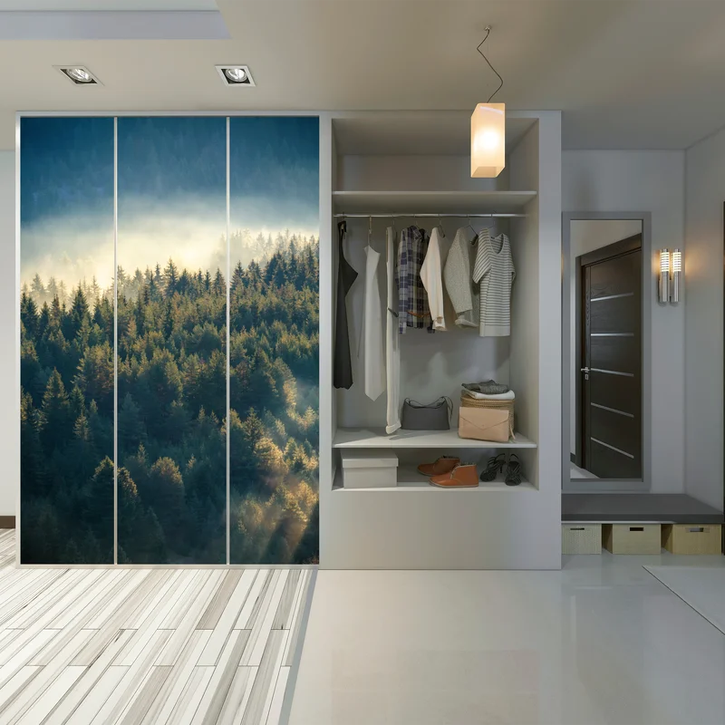 Schrankaufkleber nebliger kiefernwald im morgenlicht Schrankaufkleber nebliger kiefernwald im morgenlicht