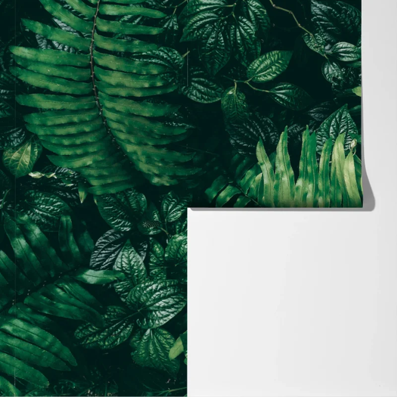 Fototapeta bujne tropikalne liście Fototapeta bujne tropikalne liście