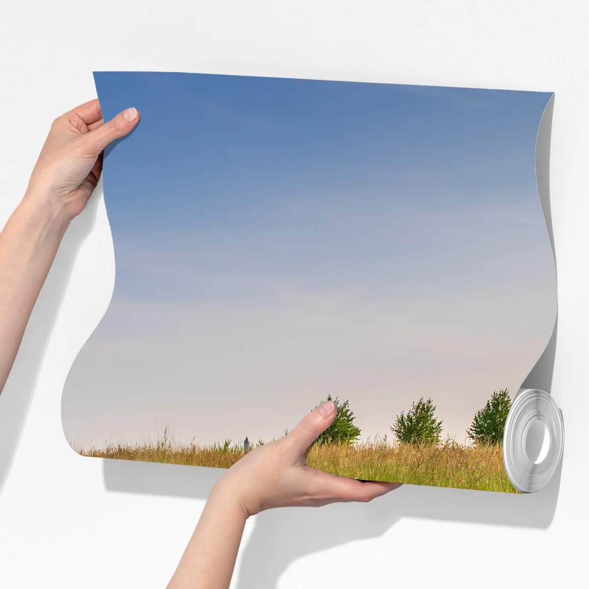 Fototapeta spokojny staw z grążelami na łące Fototapeta spokojny staw z grążelami na łące