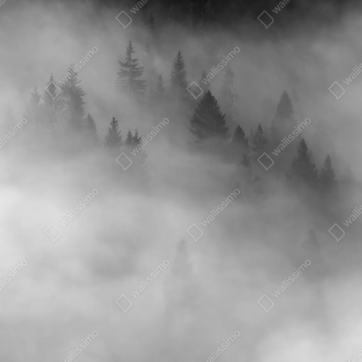 Poster Herbstliche Landschaft • Poster bei Wallnifity® Poster Herbstliche Landschaft • Poster bei Wallnifity®