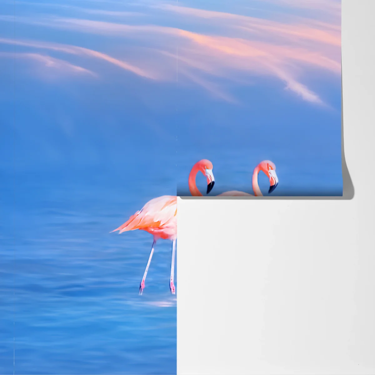 Fototapete rosa flamingos auf pastellfarbenem wasser Fototapete rosa flamingos auf pastellfarbenem wasser