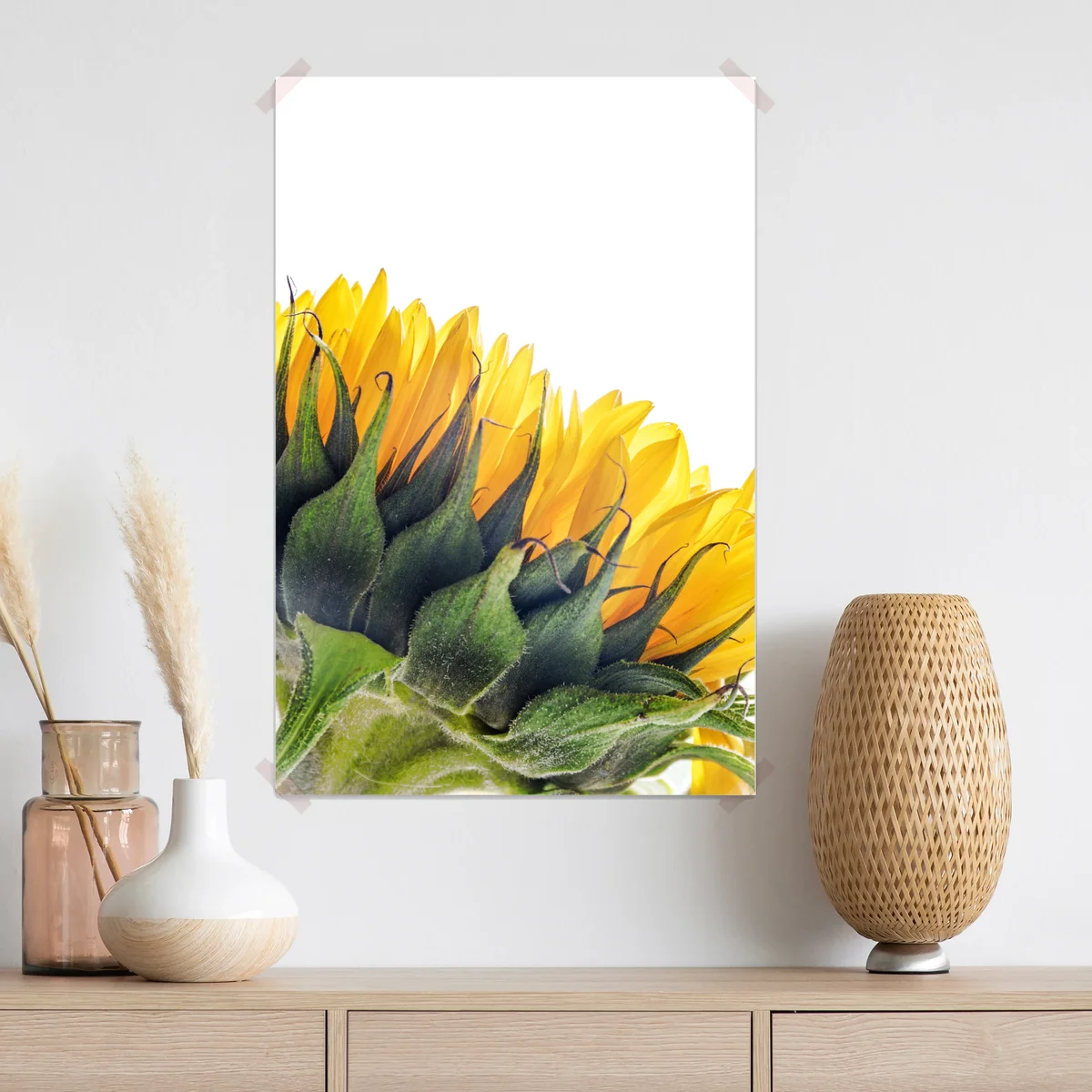 Poster sonnenblume in der ecke auf weißem hintergrund Poster sonnenblume in der ecke auf weißem hintergrund