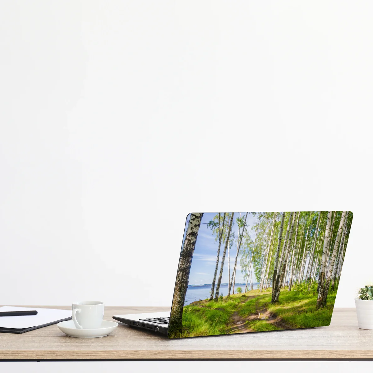 Naklejka na laptopa słoneczny zagajnik brzozowy nad wodą Naklejka na laptopa słoneczny zagajnik brzozowy nad wodą
