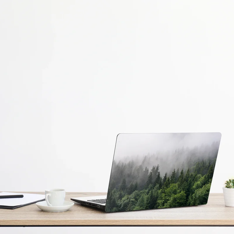 Naklejka na laptopa mglisty las iglasty panorama