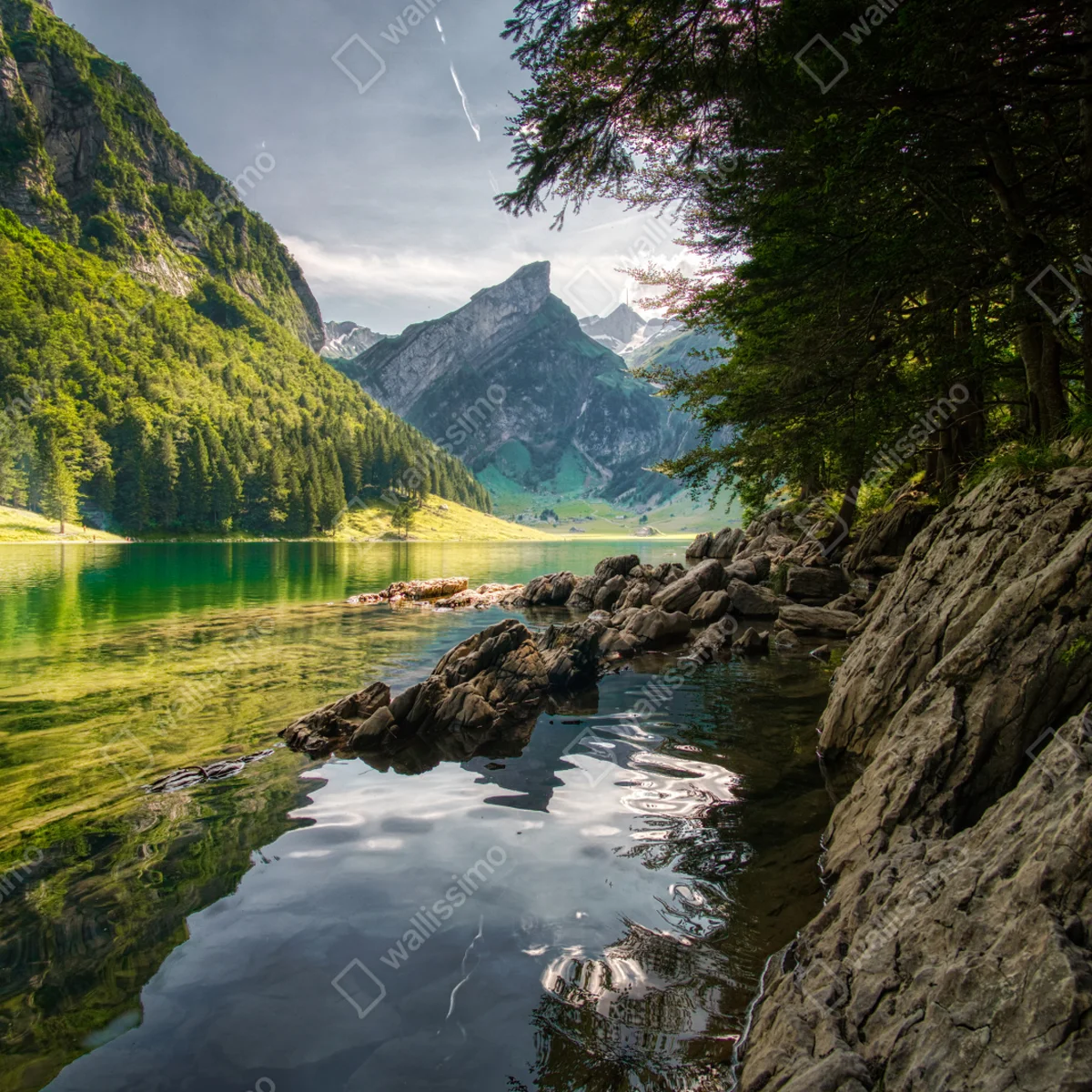 Türaufkleber ruhiger bergsee mit spiegelungen im wald Türaufkleber ruhiger bergsee mit spiegelungen im wald