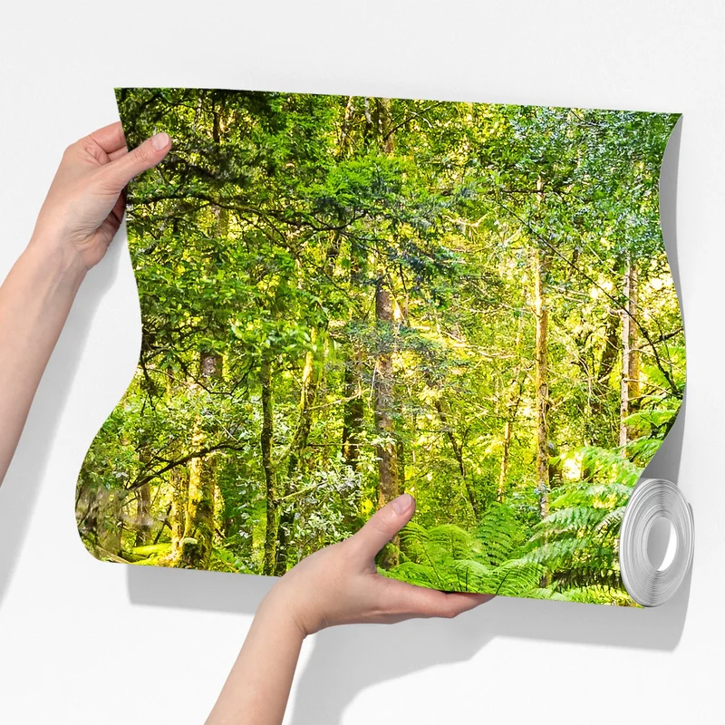 Fototapete üppiger wasserfall im Mt Field National Park, Tasmania Fototapete üppiger wasserfall im Mt Field National Park, Tasmania