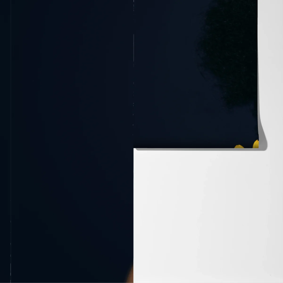 Fototapete sonnenblumen muse: florales gesichtsporträt Fototapete sonnenblumen muse: florales gesichtsporträt