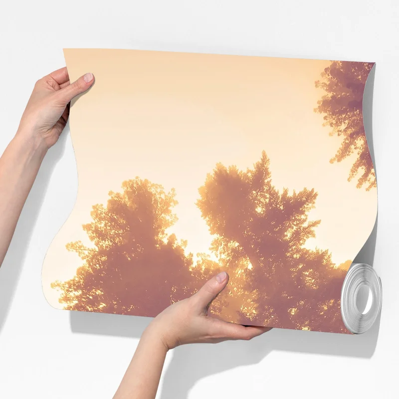 Fototapeta mglisty las sekwojowy w złotych vintage tonacjach Fototapeta mglisty las sekwojowy w złotych vintage tonacjach