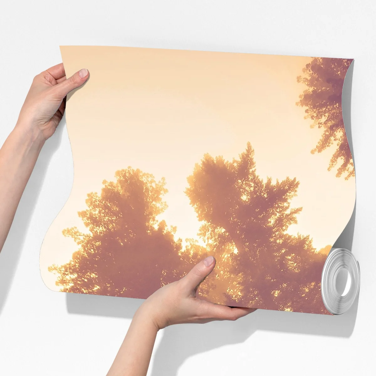 Fototapeta mglisty las sekwojowy w złotych vintage tonacjach Fototapeta mglisty las sekwojowy w złotych vintage tonacjach