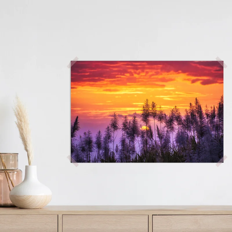 Poster goldener sonnenuntergang über wildgräsern Poster goldener sonnenuntergang über wildgräsern