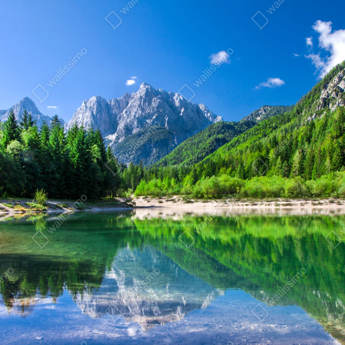 Leinwandbild alpiner see mit spiegelung in grünen bergen Leinwandbild alpiner see mit spiegelung in grünen bergen