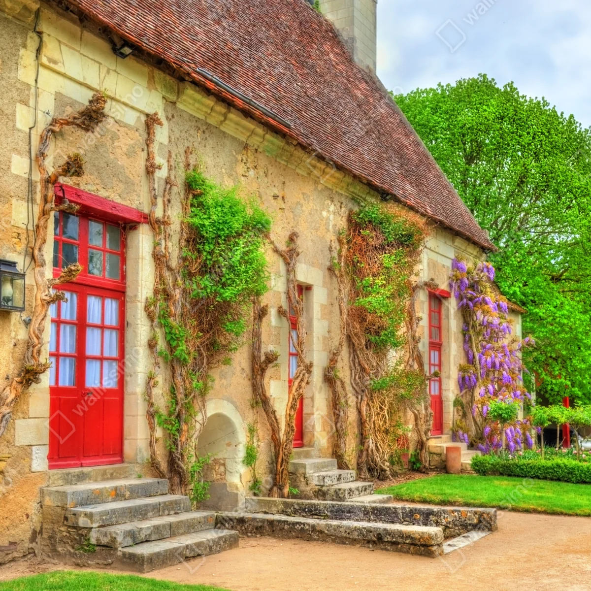Naklejka na laptopa uroczy domek z kwitnącą glicynią Naklejka na laptopa uroczy domek z kwitnącą glicynią