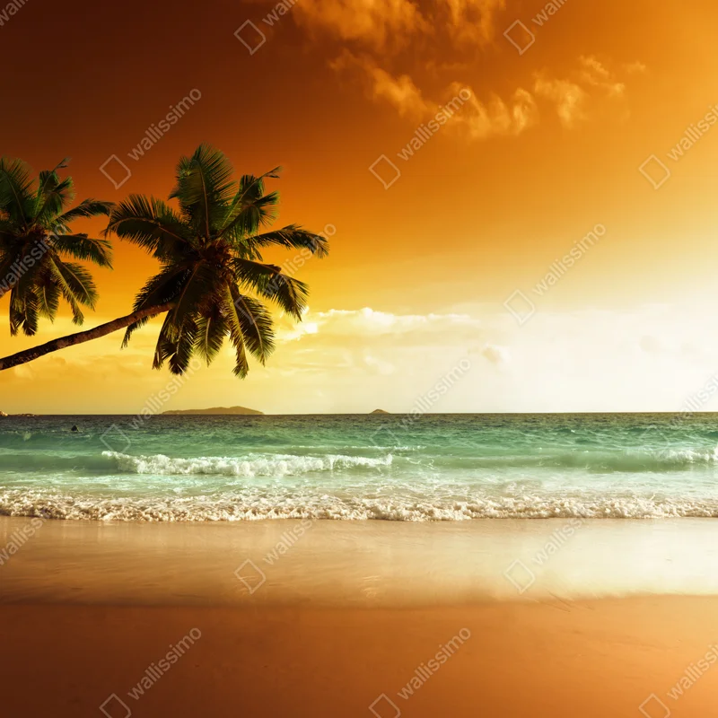 Fensteraufkleber karibischer sonnenuntergang am strand mit palmen Fensteraufkleber karibischer sonnenuntergang am strand mit palmen