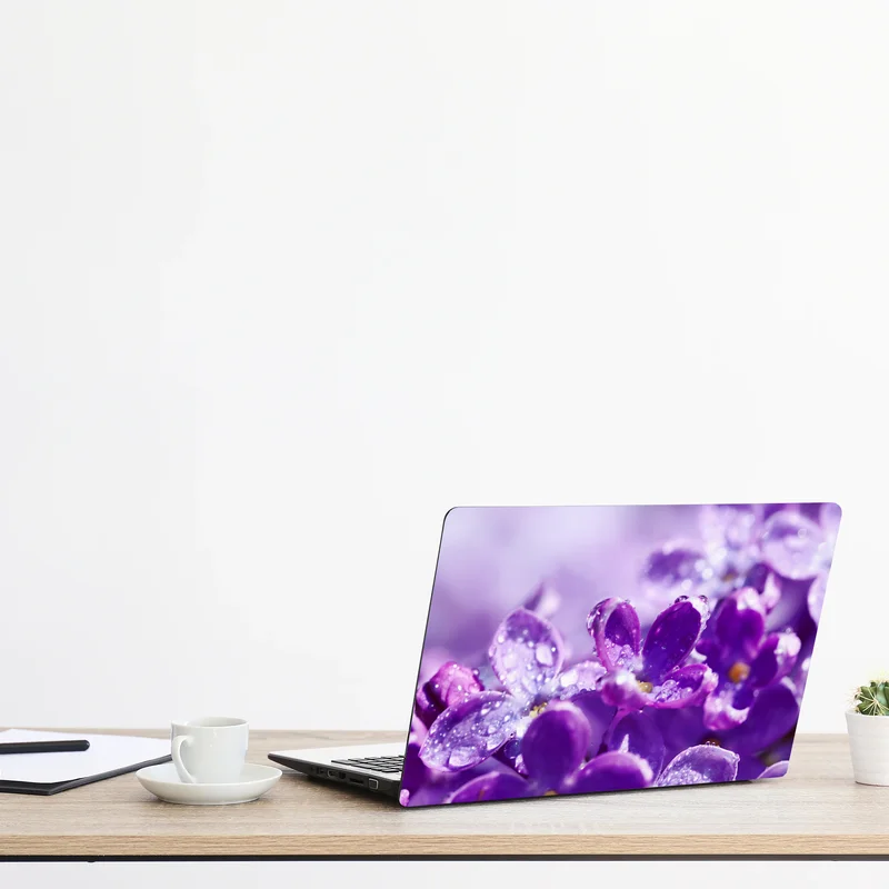 Naklejka na laptopa fioletowy bez z kroplami rosy