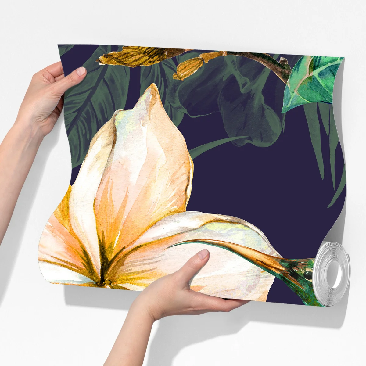 Fototapeta tropikalne kolibry i plumeria w akwareli Fototapeta tropikalne kolibry i plumeria w akwareli