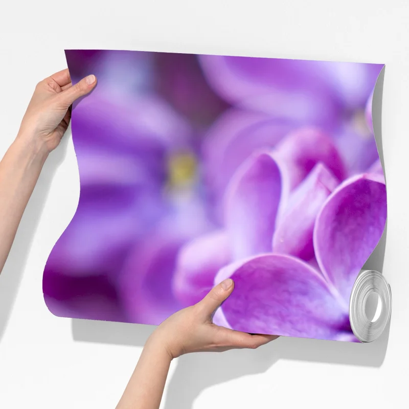 Fototapete lila fliederblüten nahaufnahme Fototapete lila fliederblüten nahaufnahme