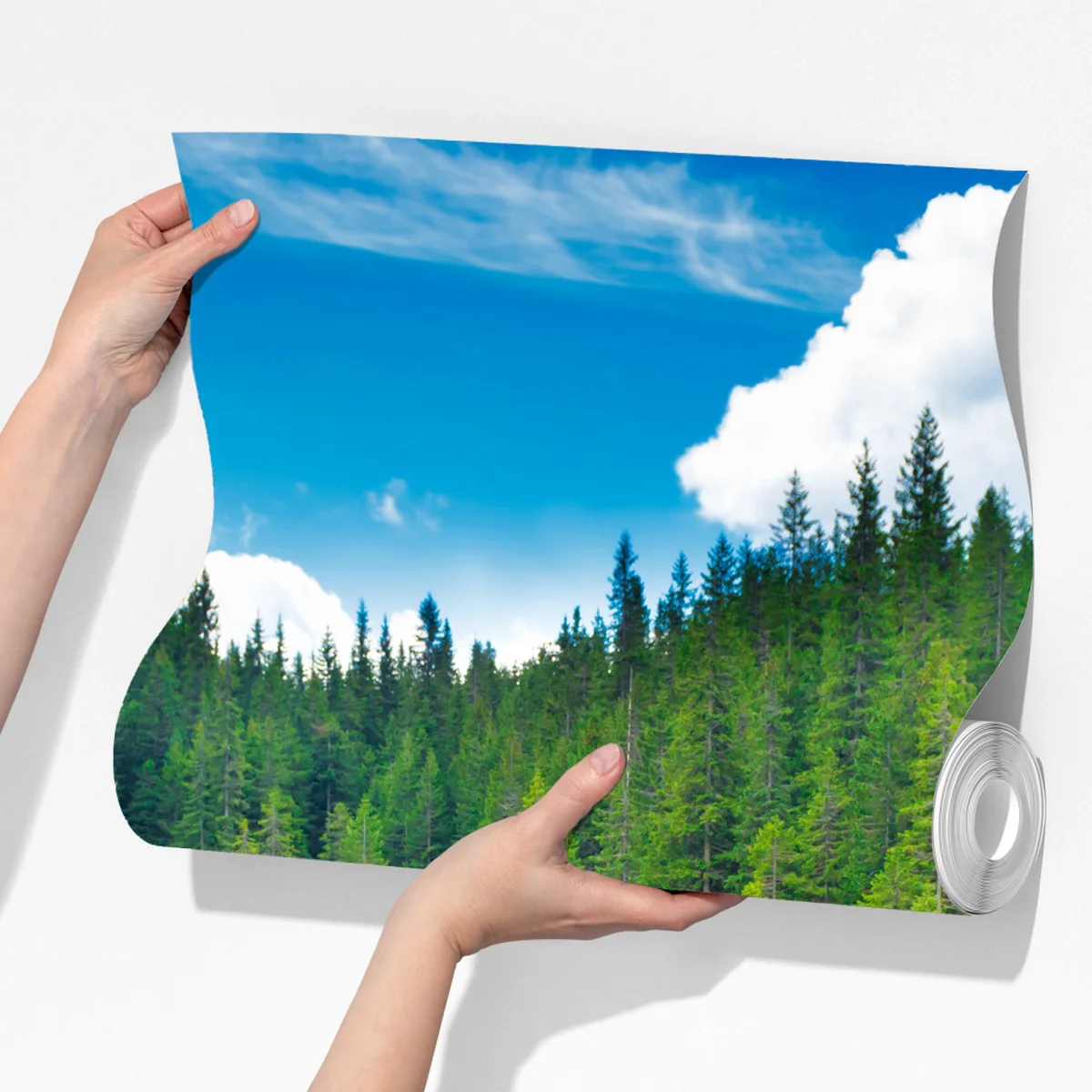 Fototapete ruhiger waldsee mit hölzerner brücke Fototapete ruhiger waldsee mit hölzerner brücke