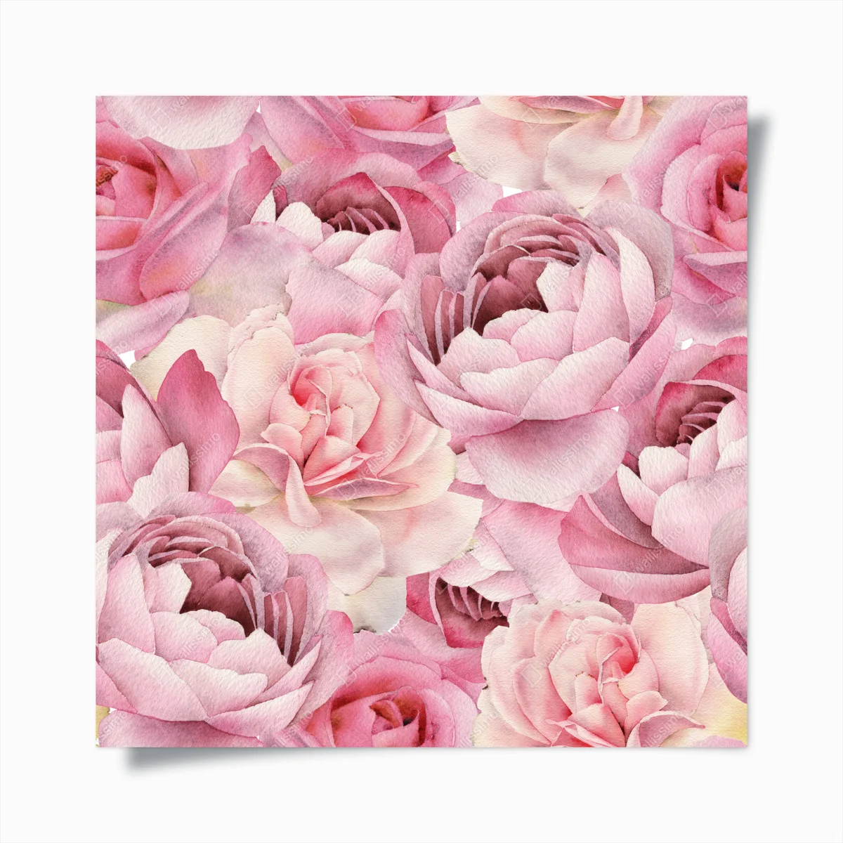 Poster zarte rosa rosen in aquarell • Poster bei Wallnifity® Poster zarte rosa rosen in aquarell • Poster bei Wallnifity®