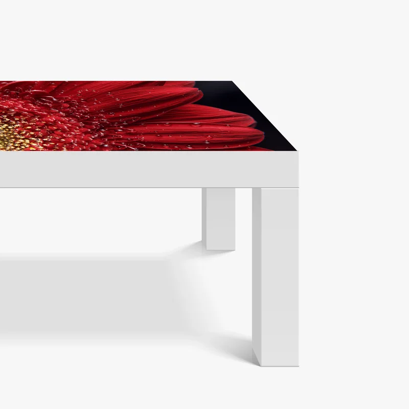 Tischaufkleber und Schreibtischaufkleber rote gerbera makro mit wassertropfen Tischaufkleber und Schreibtischaufkleber rote gerbera makro mit wassertropfen