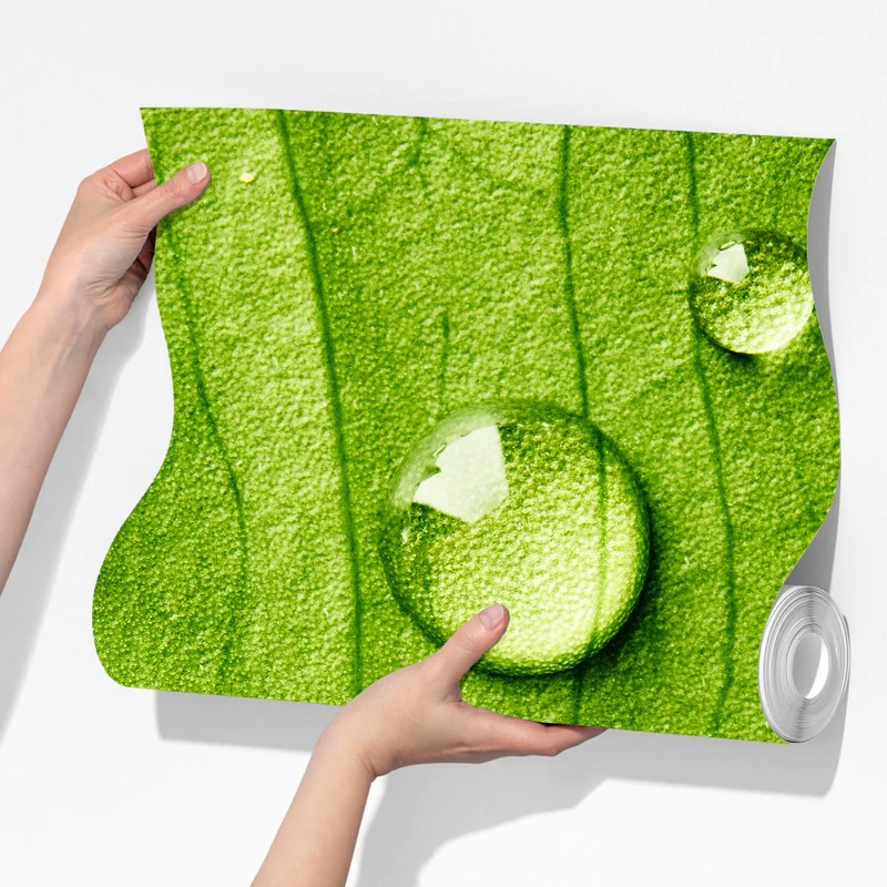 Fototapete frisches grünes blatt mit wassertropfen Fototapete frisches grünes blatt mit wassertropfen