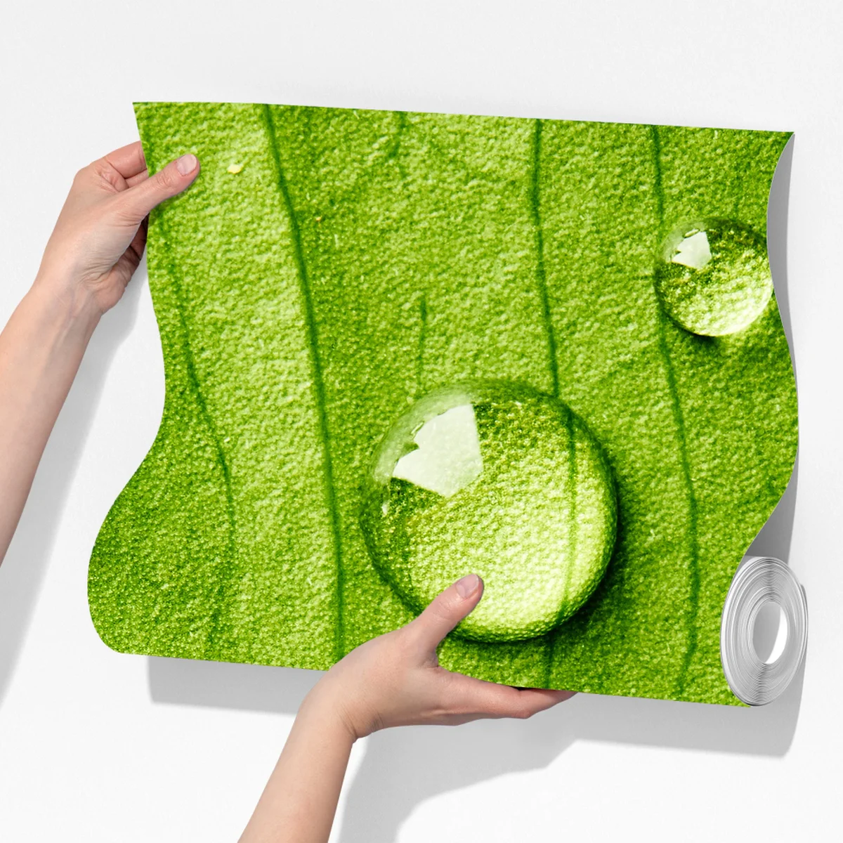 Fototapete frisches grünes blatt mit wassertropfen Fototapete frisches grünes blatt mit wassertropfen