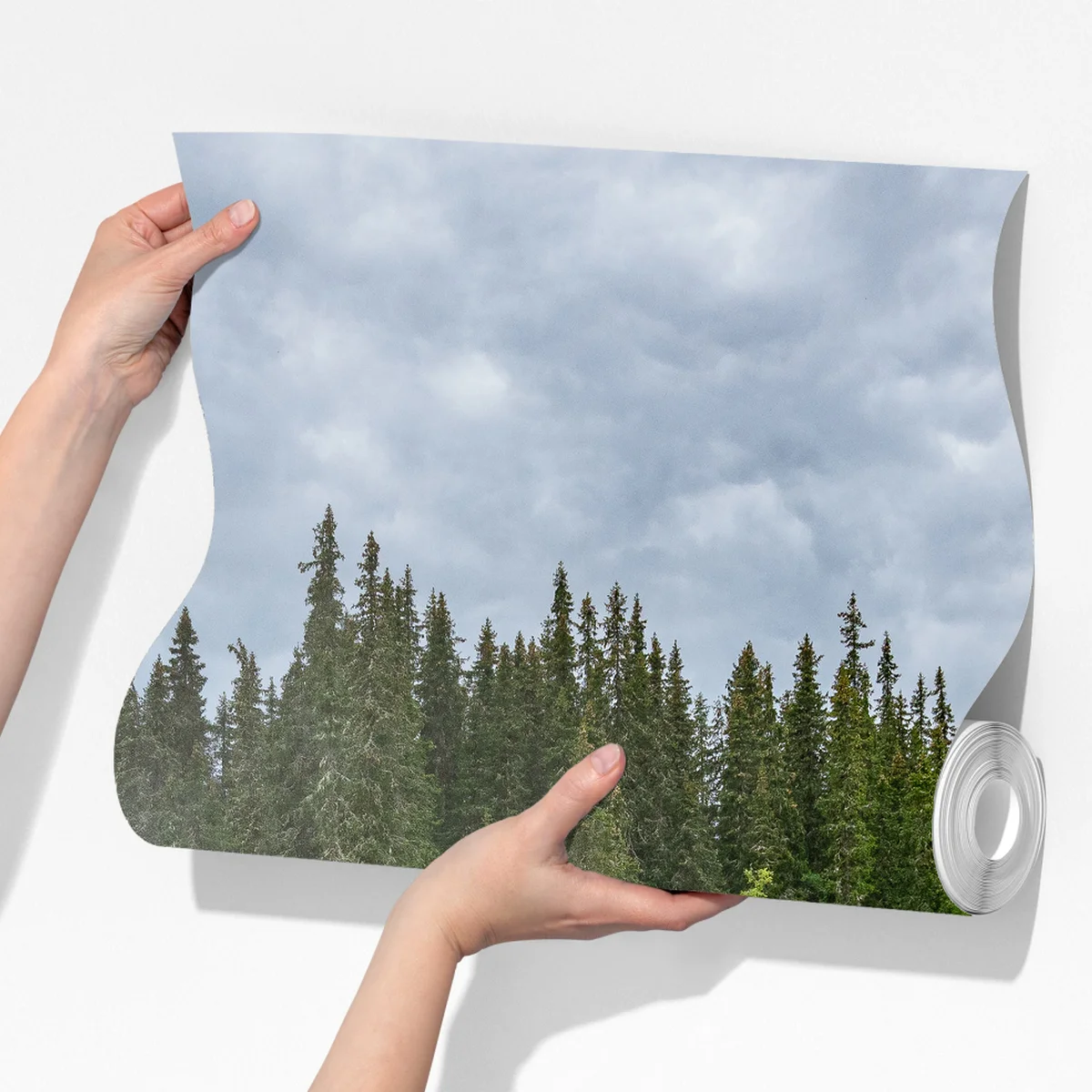 Fototapeta mglisty wodospad w bujnym sosnowym lesie Fototapeta mglisty wodospad w bujnym sosnowym lesie