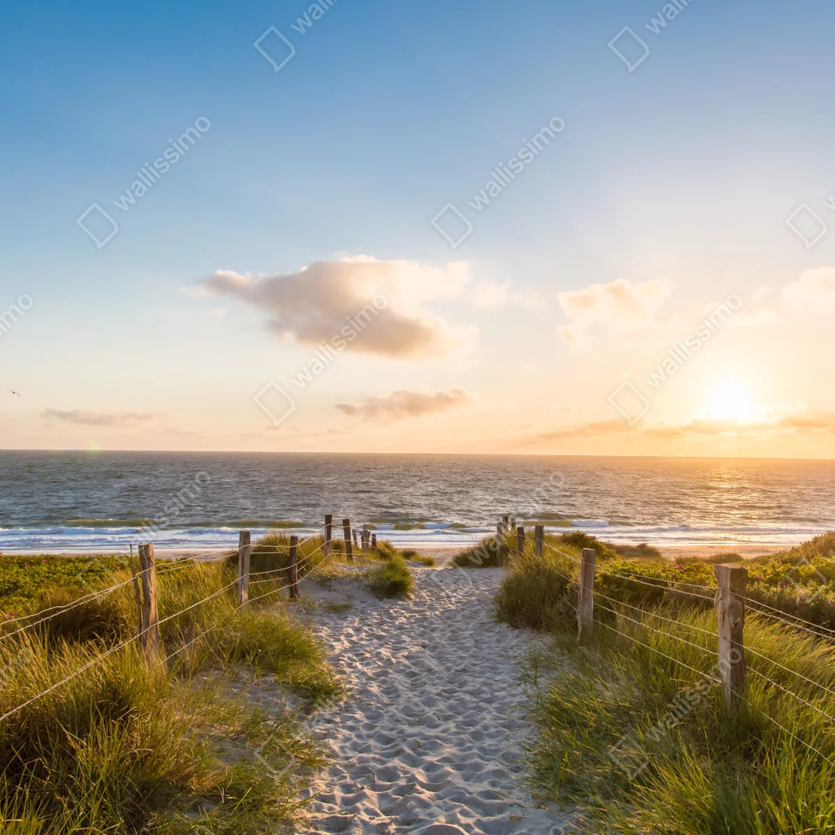 Fensteraufkleber sonnenbeschienener strandweg zum meer Fensteraufkleber sonnenbeschienener strandweg zum meer