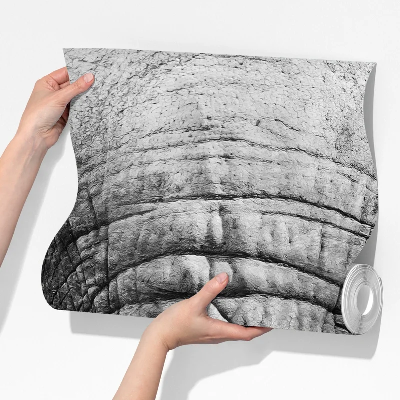 Fototapete majestätisches elefantenporträt Fototapete majestätisches elefantenporträt