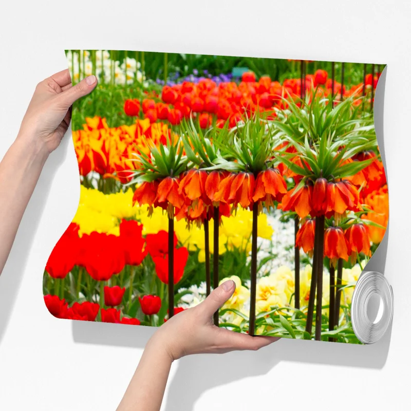 Fototapete lebendiger frühlingsblumengarten Fototapete lebendiger frühlingsblumengarten