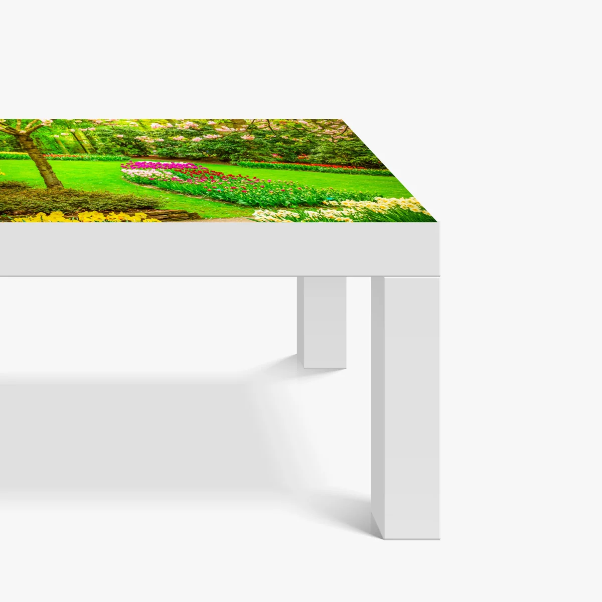 Tischaufkleber und Schreibtischaufkleber frühlingsgarten in blüte: tulpen und kirschblüten Tischaufkleber und Schreibtischaufkleber frühlingsgarten in blüte: tulpen und kirschblüten