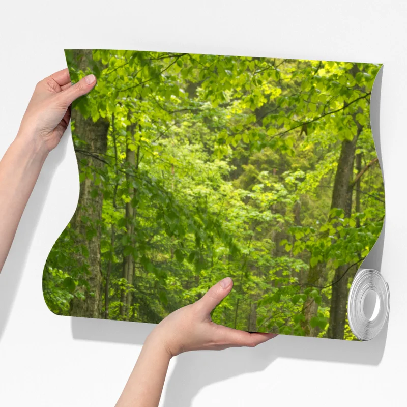 Fototapeta mechowy wodospad Fototapeta mechowy wodospad