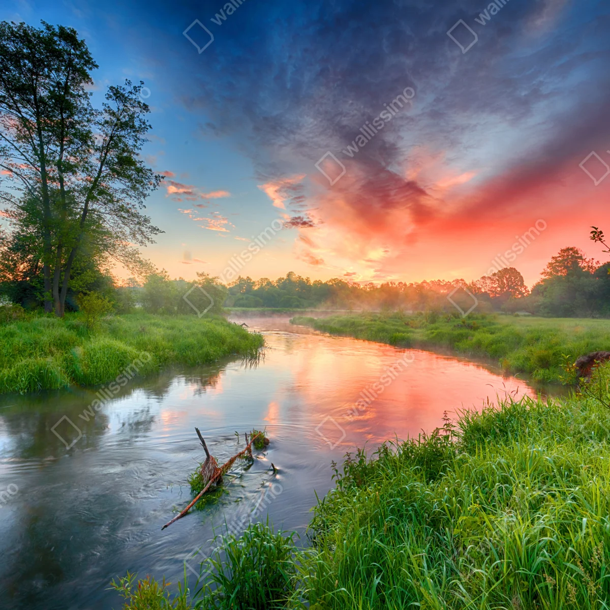 Fototapete sonnenaufgang über einem nebligen flussufer Fototapete sonnenaufgang über einem nebligen flussufer