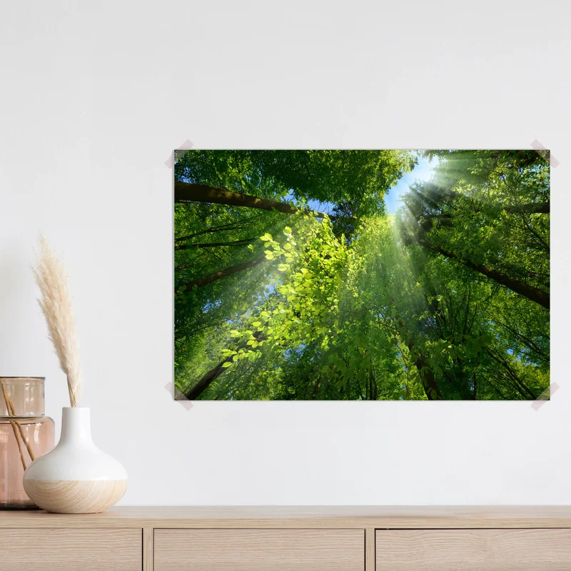 Poster Lichtstrahlen, die wunderschön durch das grüne Laub fallen und die Landschaft eines schönen, üppigen Baumkronens in einem Wald aufwerten • Poster bei Wallnifity® Poster Lichtstrahlen, die wunderschön durch das grüne Laub fallen und die Landschaft eines schönen, üppigen Baumkronens in einem Wald aufwerten • Poster bei Wallnifity®