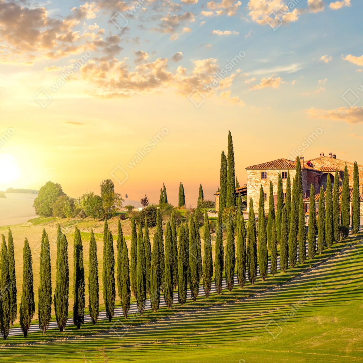 Fensteraufkleber Toskana sonnenuntergang zypressenallee Fensteraufkleber Toskana sonnenuntergang zypressenallee