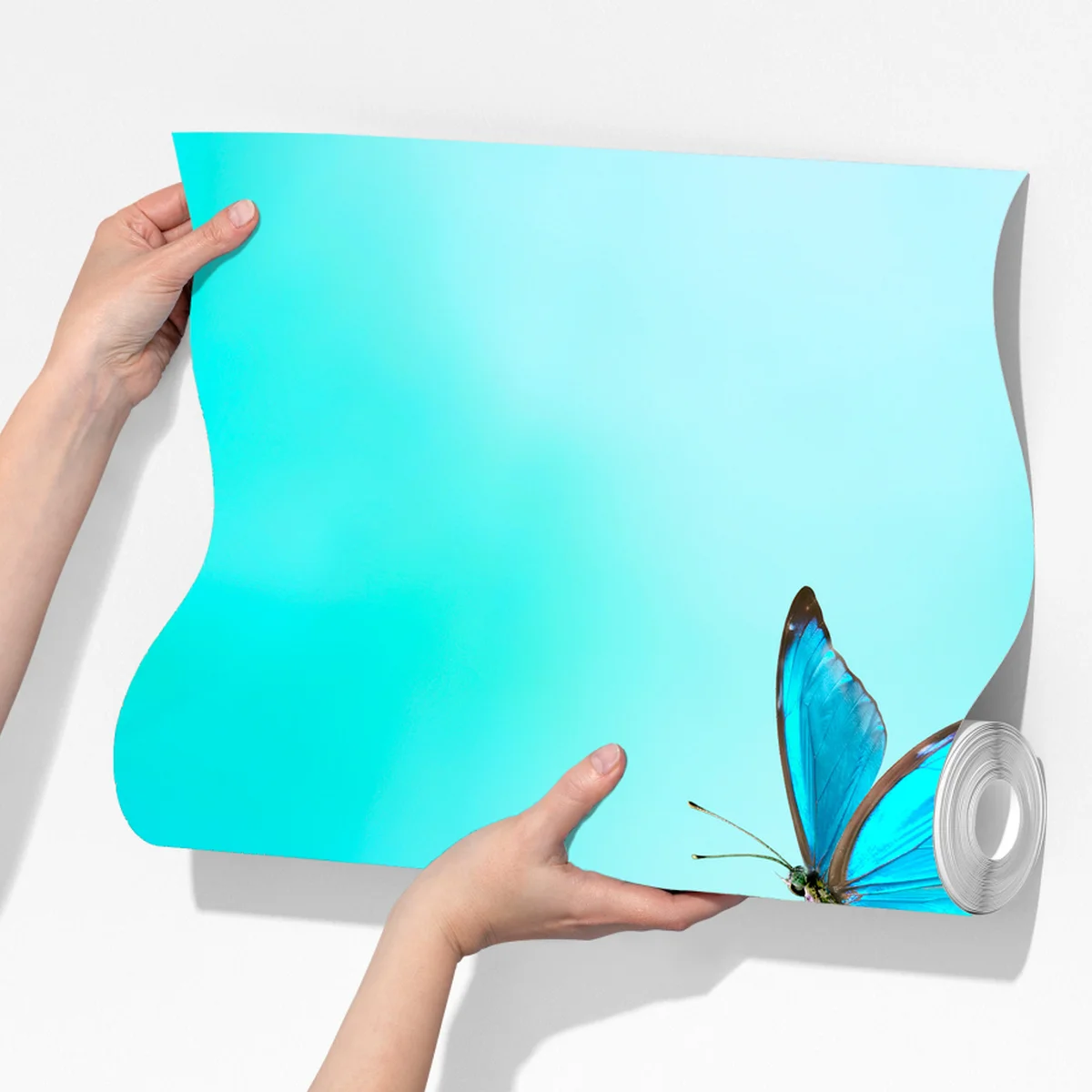 Fototapeta delikatne różowe anemony i niebieski motyl Fototapeta delikatne różowe anemony i niebieski motyl