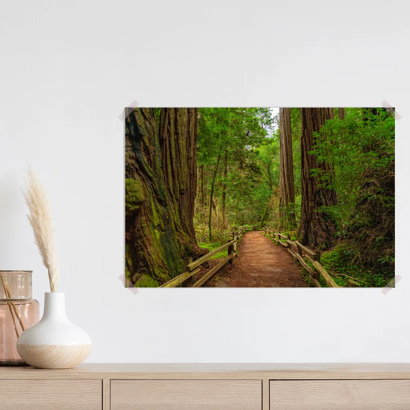 Poster majestätischer waldpfad zwischen mammutbäumen Poster majestätischer waldpfad zwischen mammutbäumen